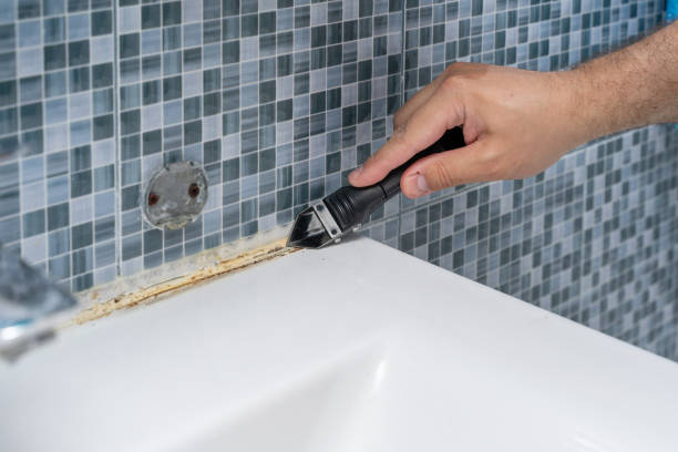 Best Mold Removal Company Near Me  in Holiday City Berkeley, NJ